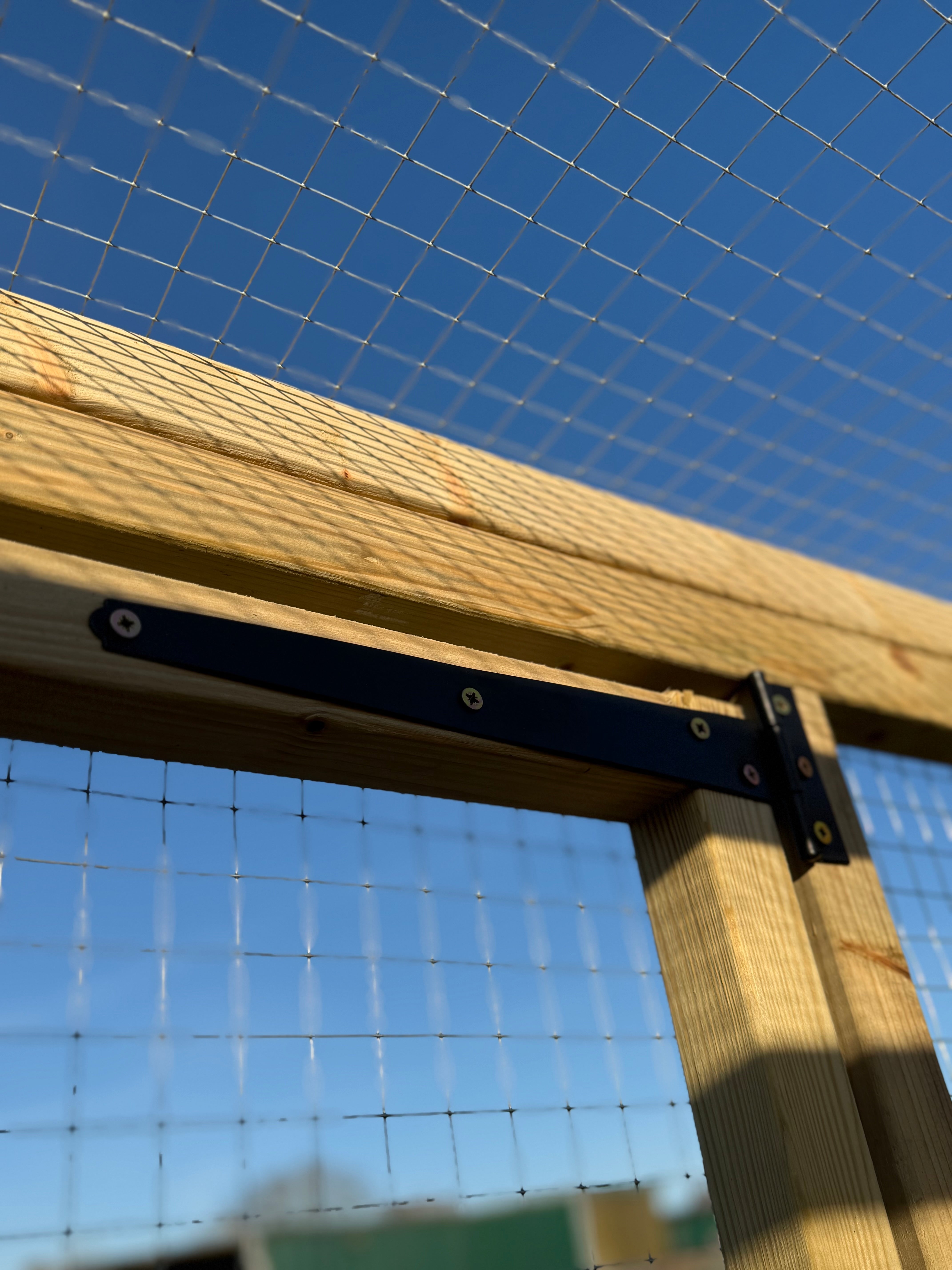 6ft Deep Purfect Catio Options